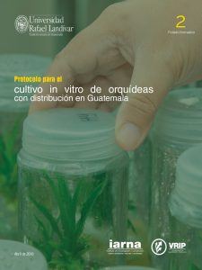 Protocolo para el cultivo in vitro de orquídeas con distribución en Guatemala