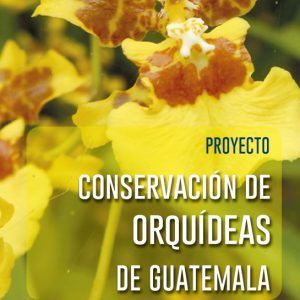 Proyecto: Conservación de orquídeas de Guatemala