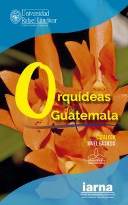 Orquídeas de Guatemala. Catálogo nivel básicos