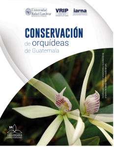 Conservación de orquídeas de Guatemala : iniciativa para aumentar el conocimiento y la protección de la familia de plantas más amenazada del país