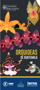 Orquídeas de Guatemala